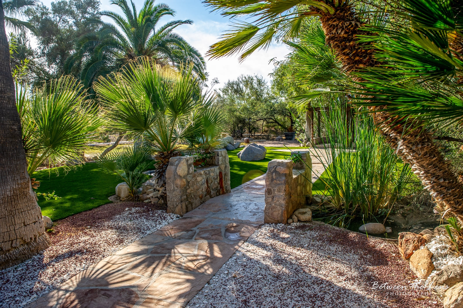 An oasis-like area with a pathway